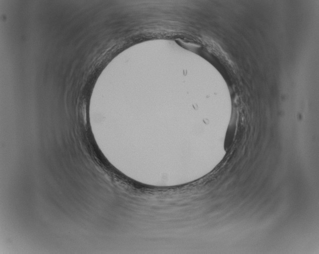 X0000067830021200605111628