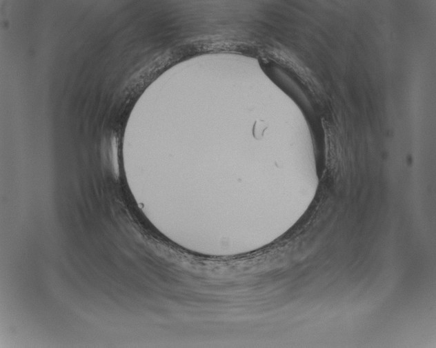 X0000067830022200605111628