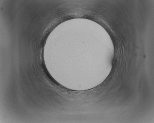 X0000067830023200605111628