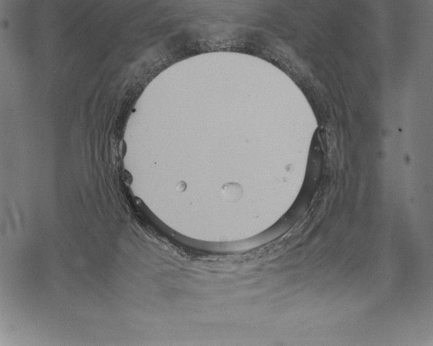 X0000067830025200605111628