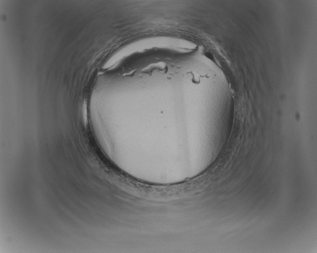 X0000067830027200605111628