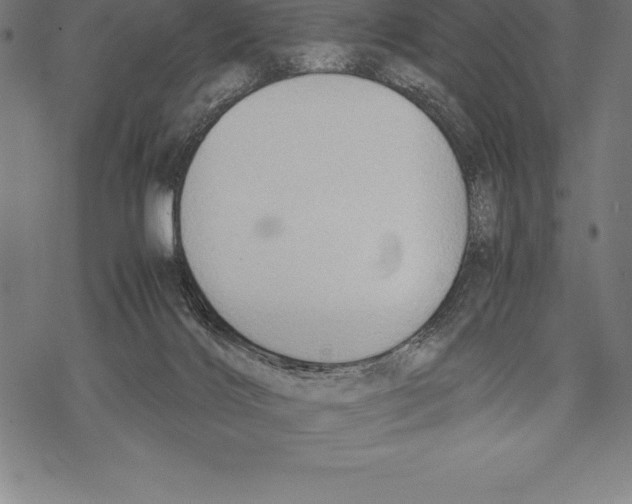 X0000067830028200605111628