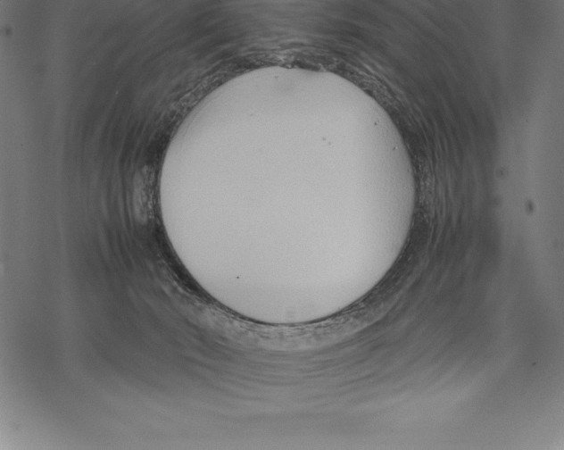 X0000067830030200605111628