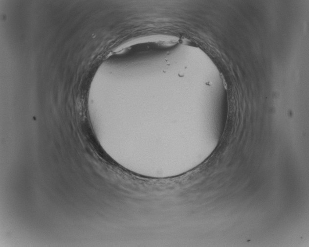 X0000067830031200605111628