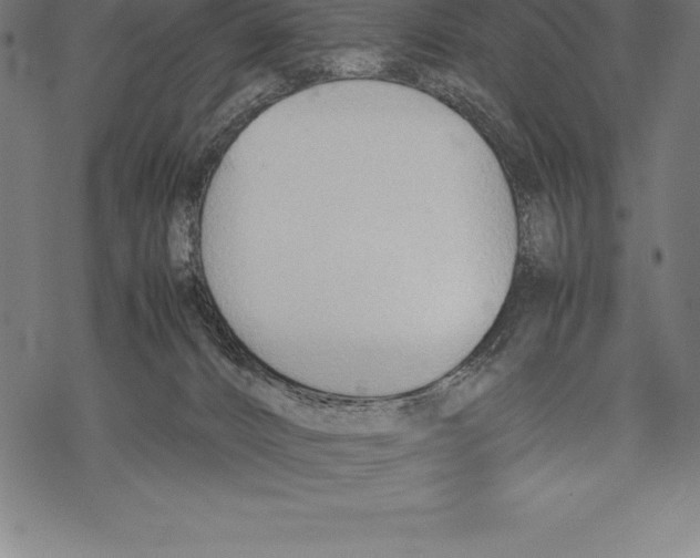 X0000067830032200605111628