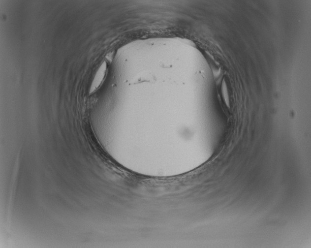 X0000067830033200605111628