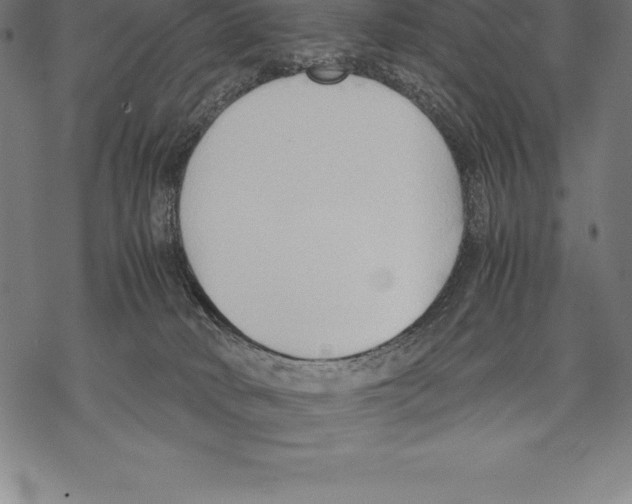 X0000067830034200605111628