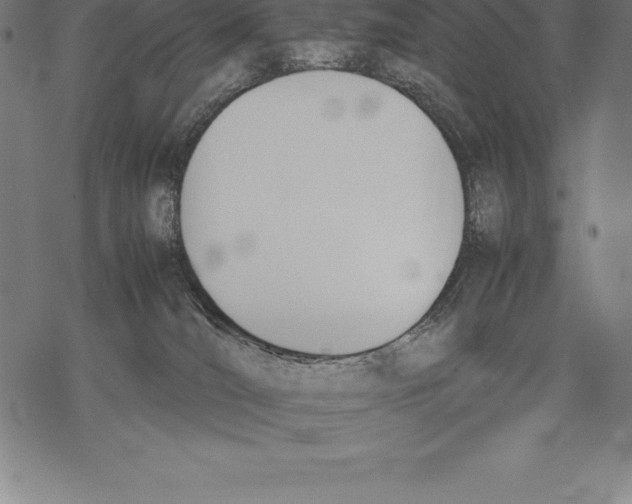 X0000067830036200605111628