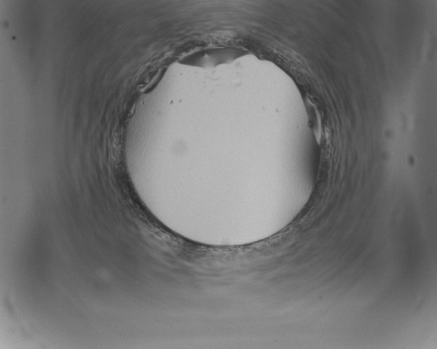 X0000067830037200605111628