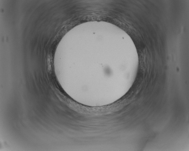 X0000067830038200605111628