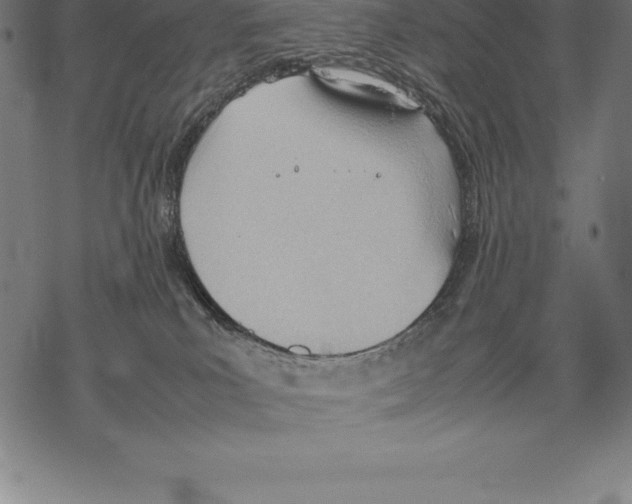 X0000067830039200605111628