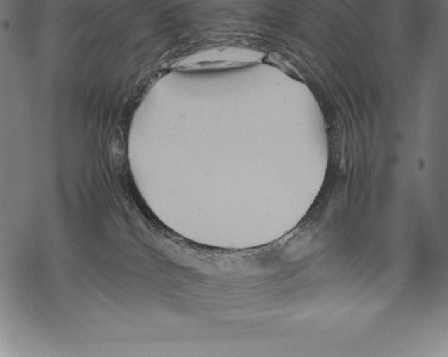 X0000067830040200605111628