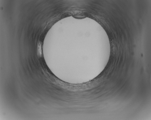 X0000067830042200605111628