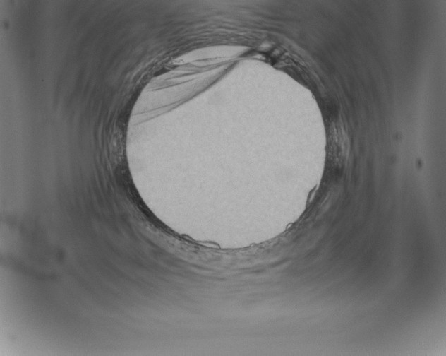 X0000067830043200605111628