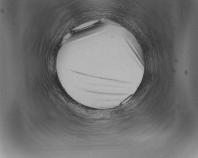 X0000067830044200605111628