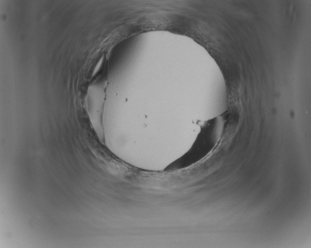 X0000067830045200605111628