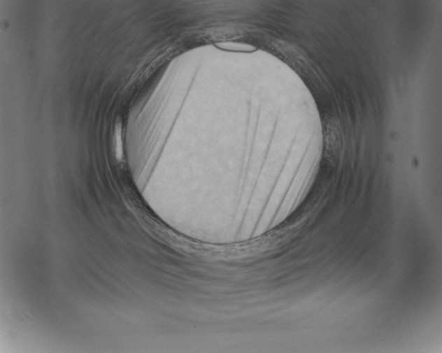 X0000067830046200605111628