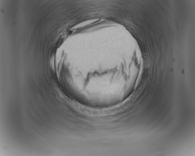 X0000067830047200605111628