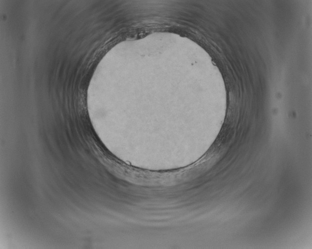 X0000067830048200605111628