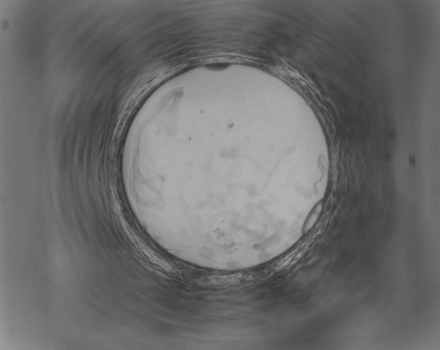 X0000067830049200605111627