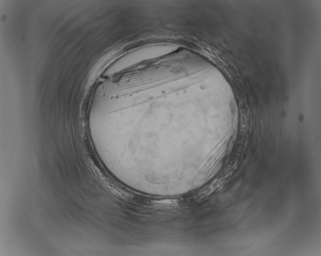 X0000067830053200605111627