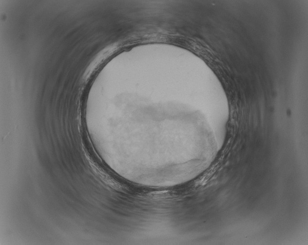 X0000067830054200605111627