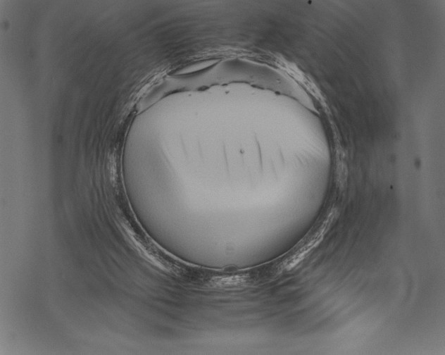 X0000067830057200605111627