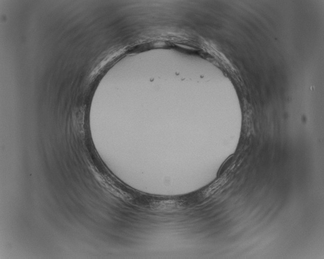 X0000067830058200605111627