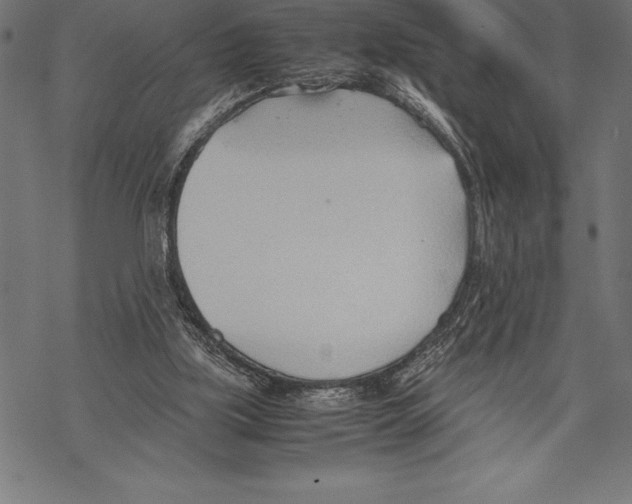 X0000067830059200605111627