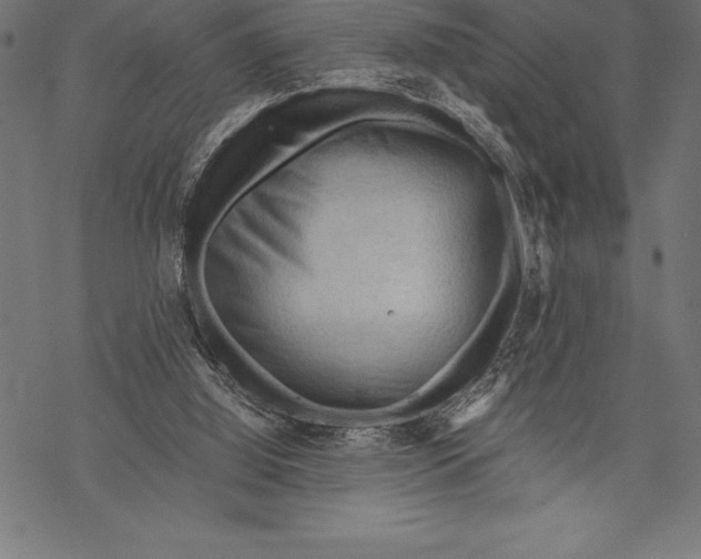 X0000067830060200605111627