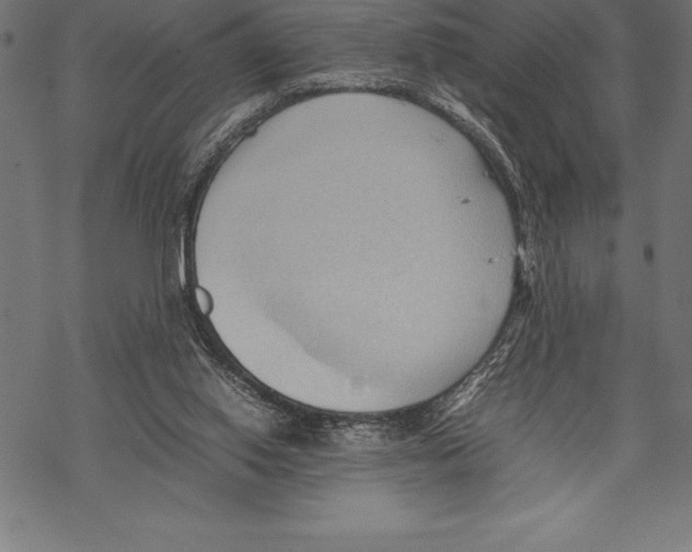 X0000067830062200605111627