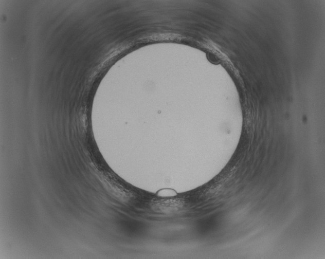 X0000067830063200605111627