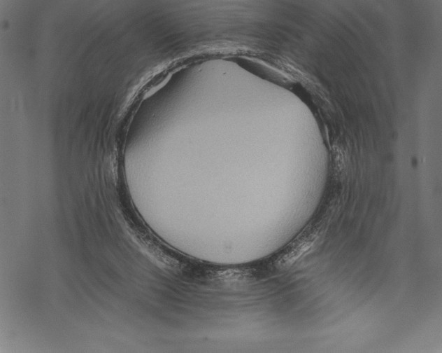 X0000067830064200605111627