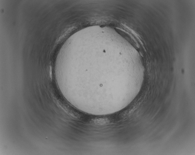 X0000067830067200605111627