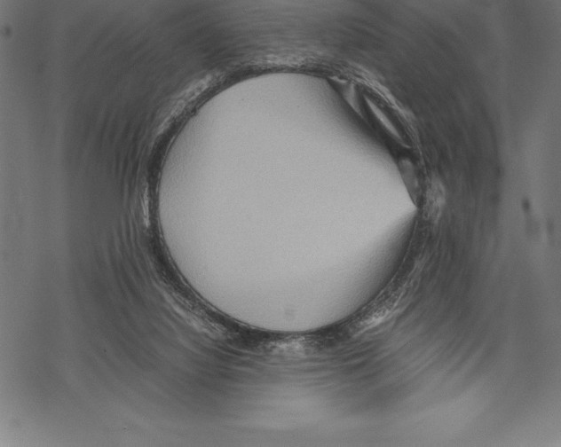 X0000067830068200605111627