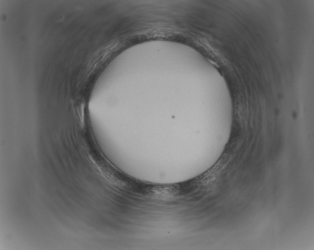 X0000067830070200605111627