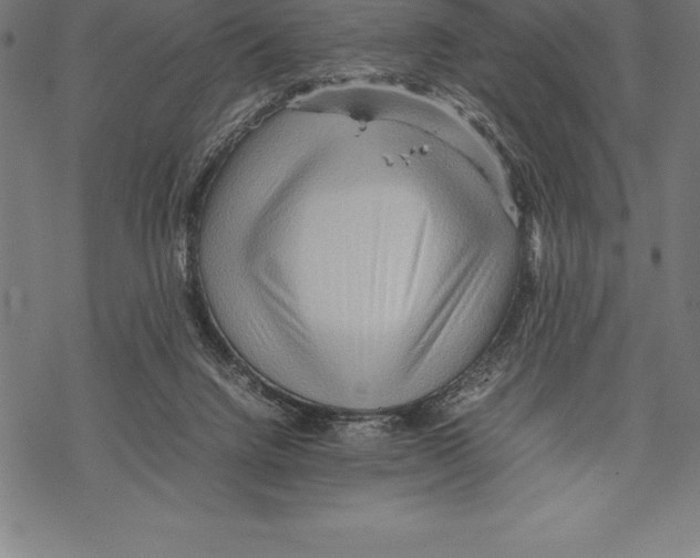 X0000067830072200605111628