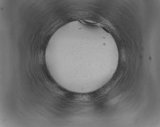 X0000067830073200605111628