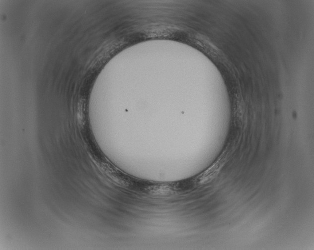 X0000067830074200605111628