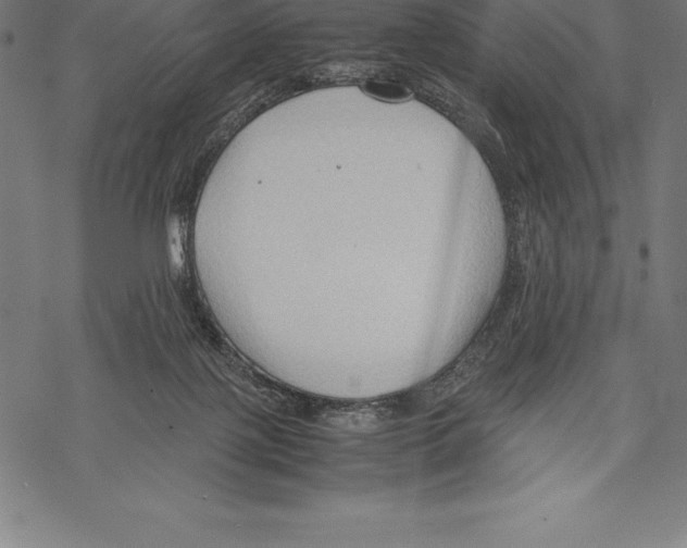 X0000067830075200605111628