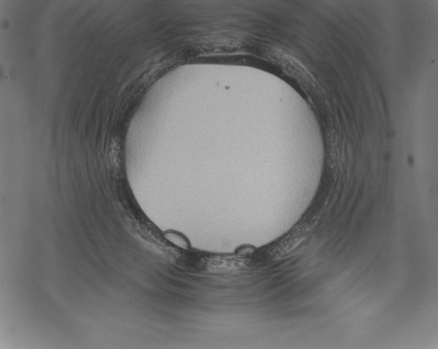 X0000067830077200605111628