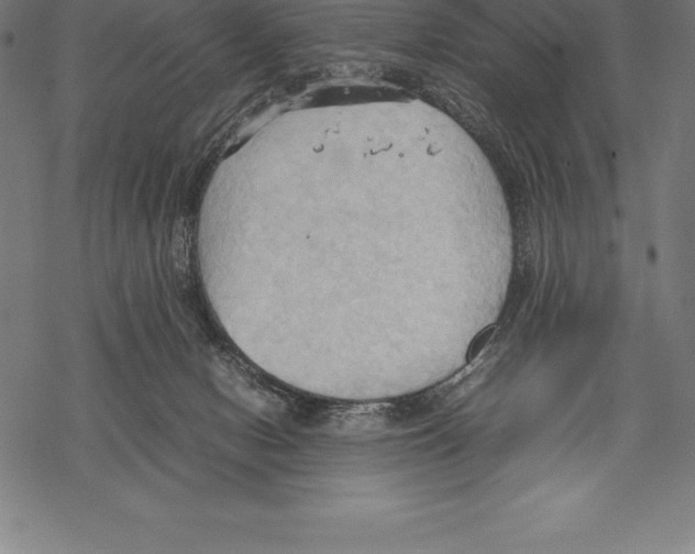 X0000067830078200605111628