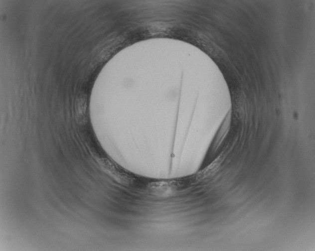 X0000067830082200605111628