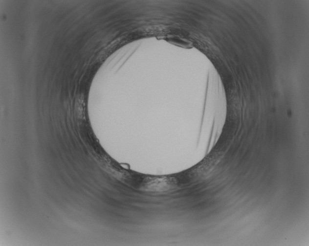 X0000067830083200605111628