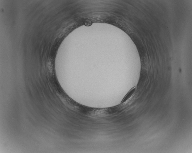 X0000067830086200605111628