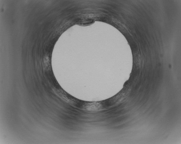 X0000067830087200605111628