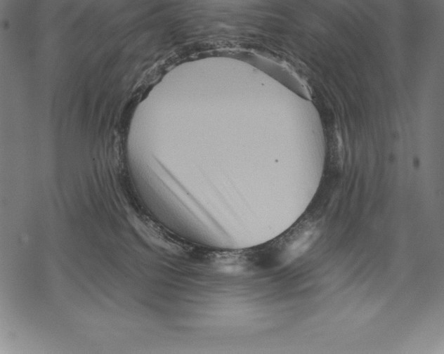 X0000067830088200605111628