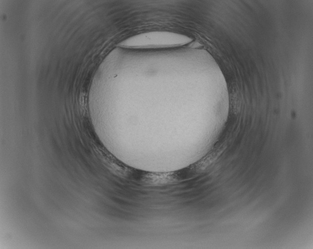 X0000067830093200605111628