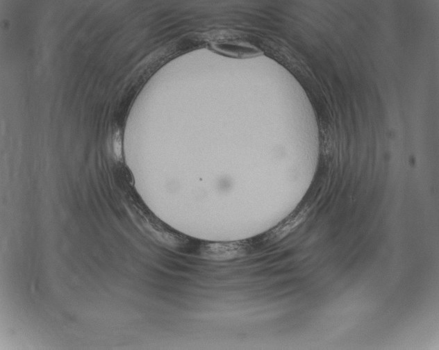 X0000067830095200605111628