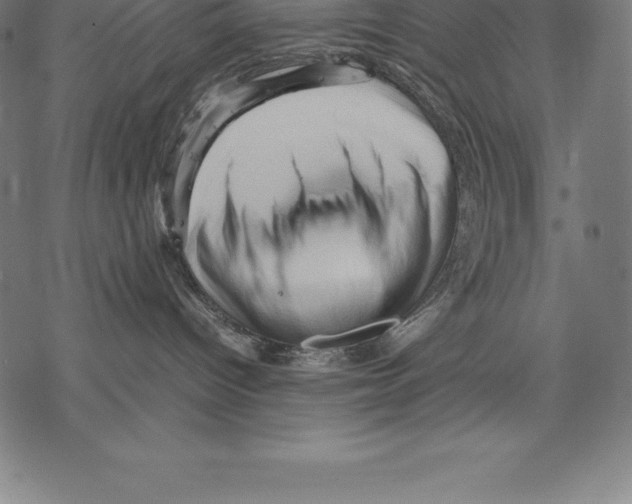 X0000067830096200605111628